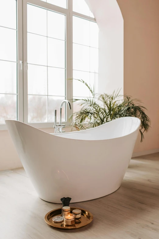 a bathroom that has a bathtub with some plants inside of it