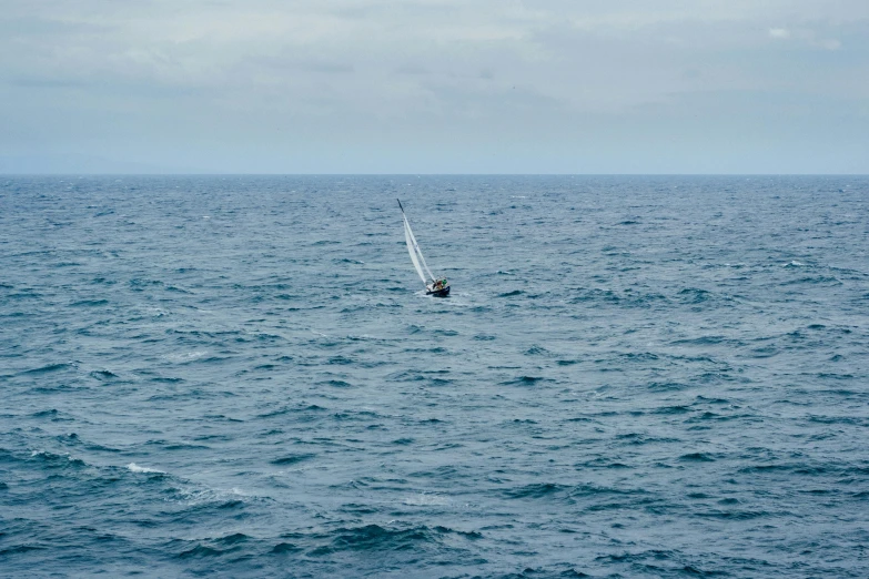 sailboat on large body of water near city