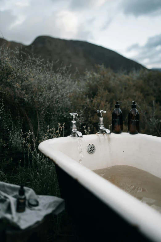 a bath tub sitting next to a lush green hillside