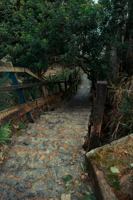 a stone path with stepping stones next to trees