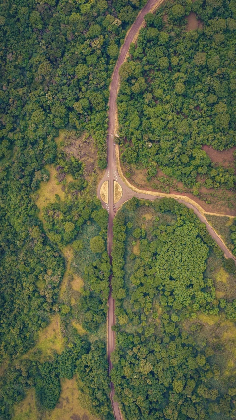 an aerial s of an winding road through some woods