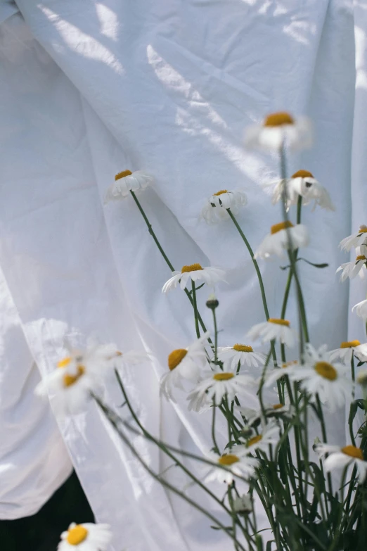 the white flowers are in a glass vase