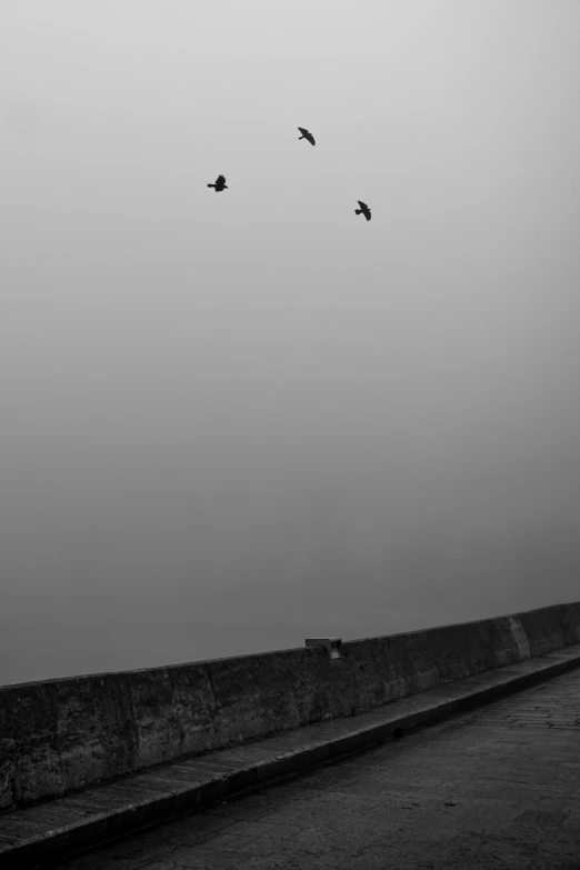 a lone bench near the beach on a foggy day