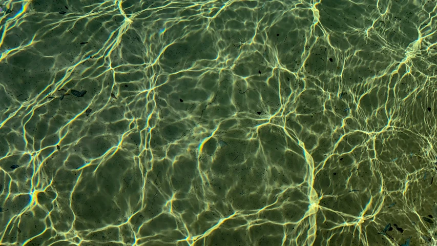 there are clear water with very small ripples
