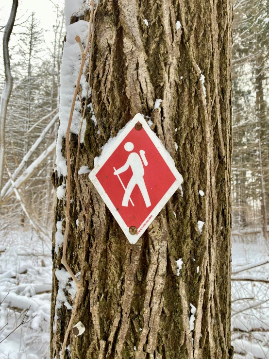 a red sign that is on a tree