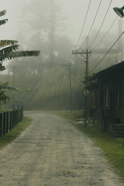 a dirt road with two stop lights, trees, and power lines above