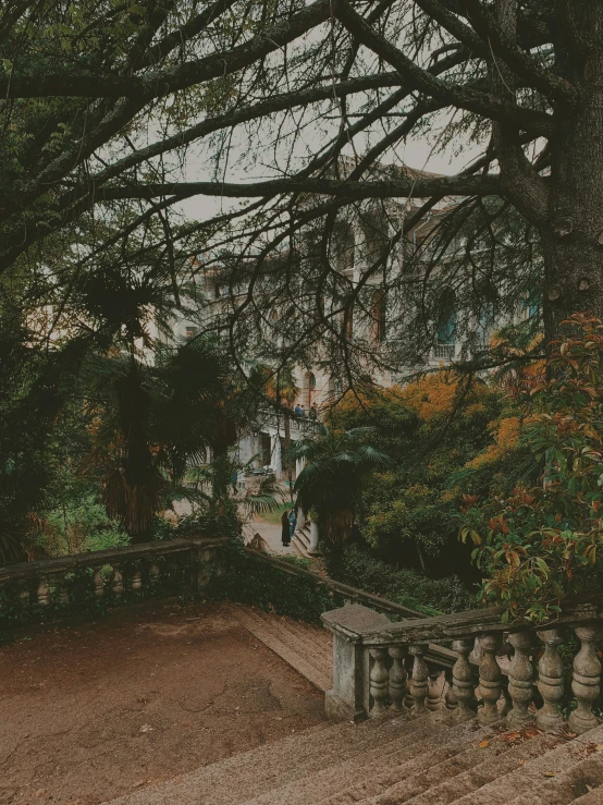 a bench that is sitting underneath some trees