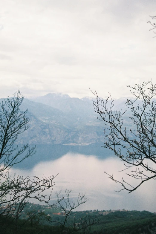 the clouds hover over the trees at the edge of a mountain