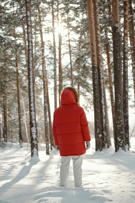 a person stands in a snowy forest facing away from the camera