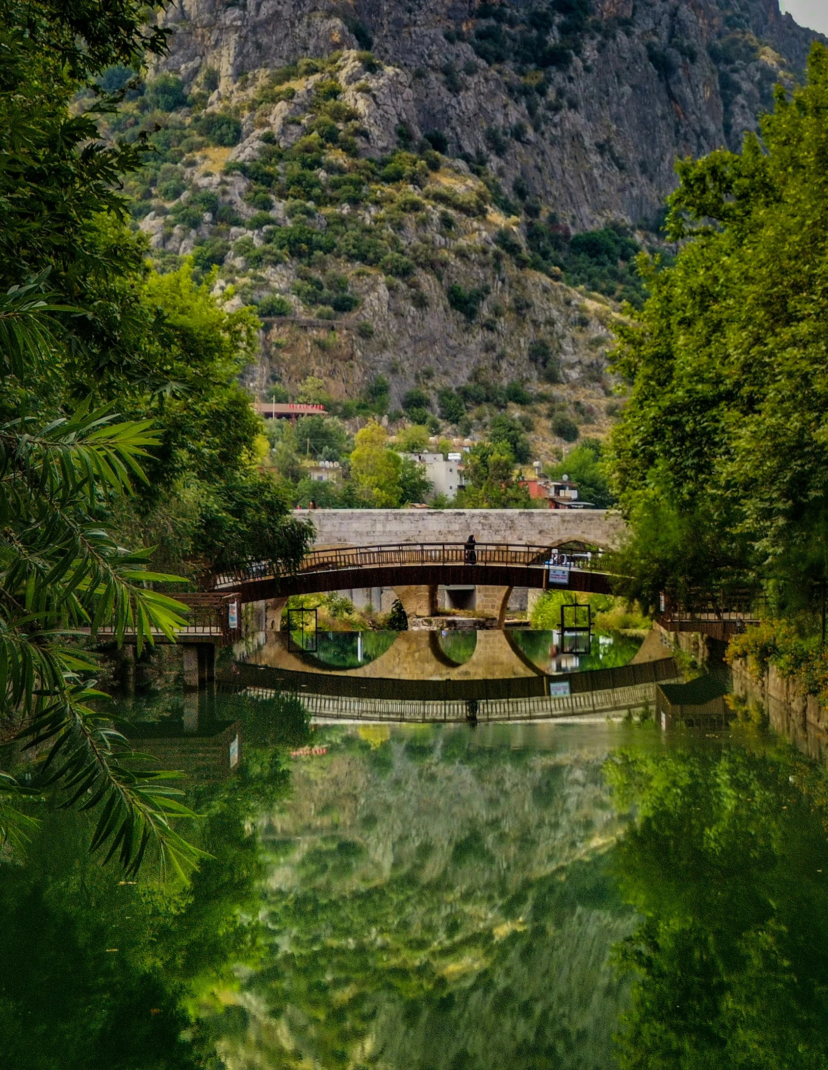 a river with water reflection near a forested area