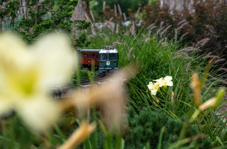 a train on the tracks near many flowers