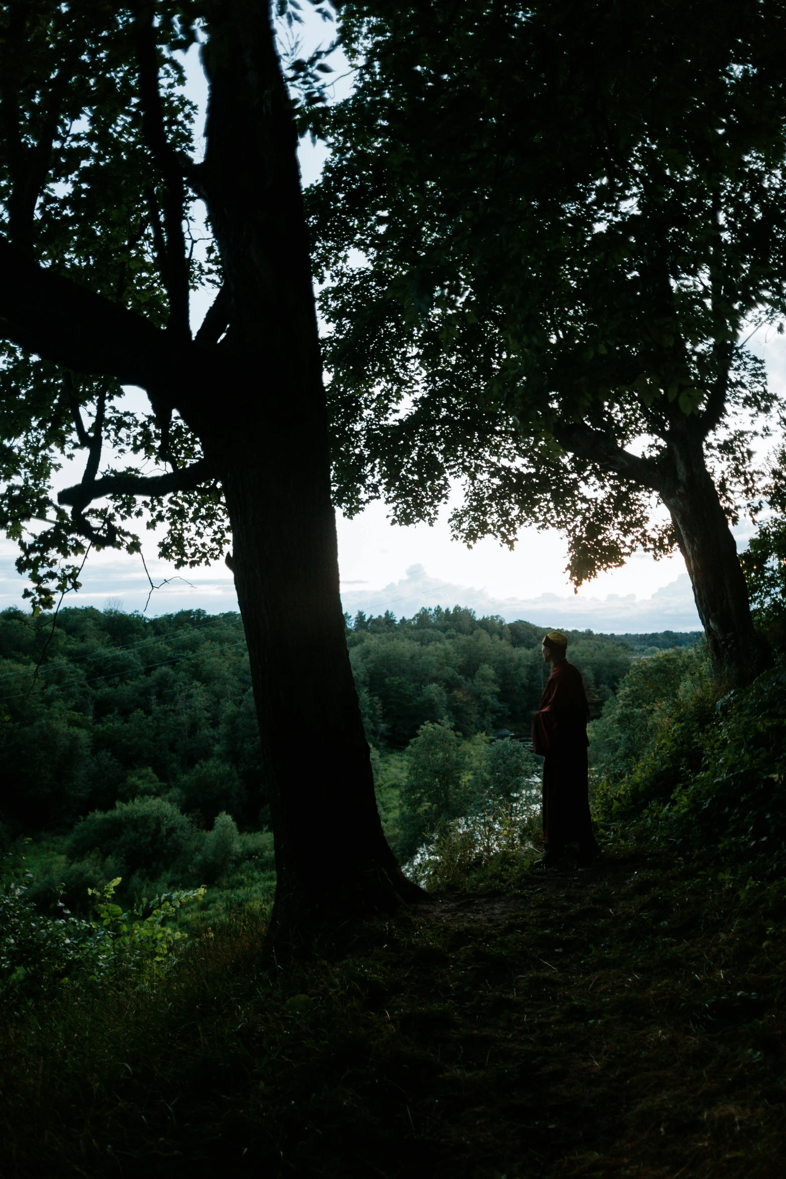 a man in the distance standing underneath trees