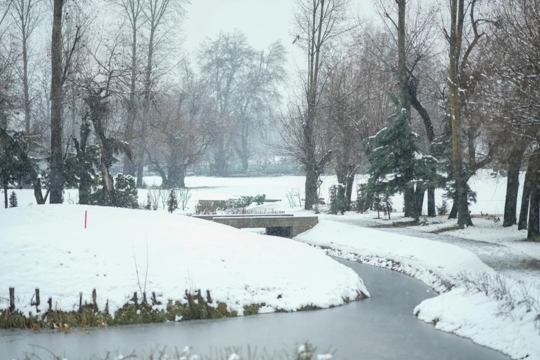 winter scene with creek and bridge and trees