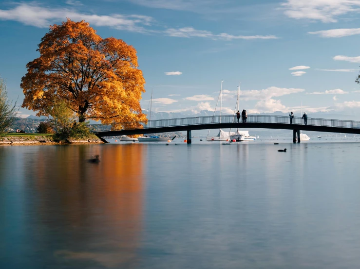 a view of the water with boats in it and a bridge crossing over it