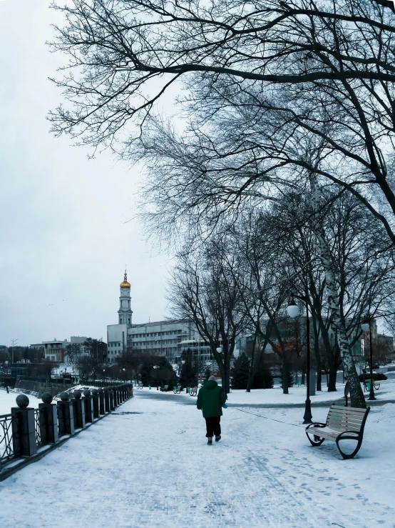 a person in green jacket walking through snowy park