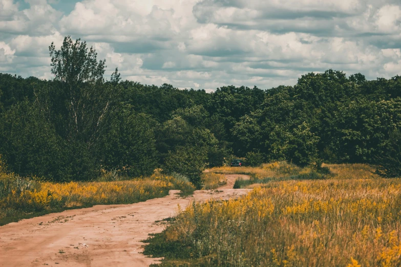 a dirt road is going through a grassy field