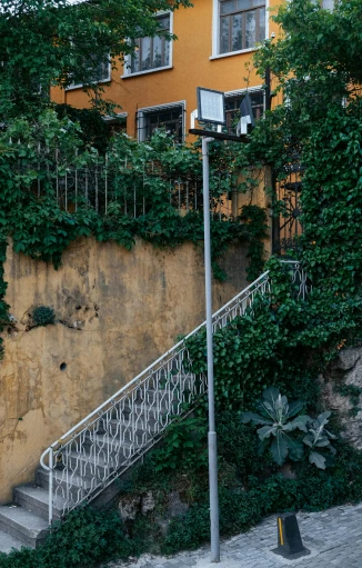 stairs leading to a yellow building with ivy growing on the wall