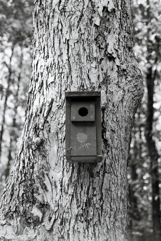 a birdhouse hanging on a tree in the woods