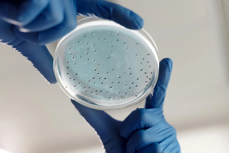 a scientist is holding a sample containing samples