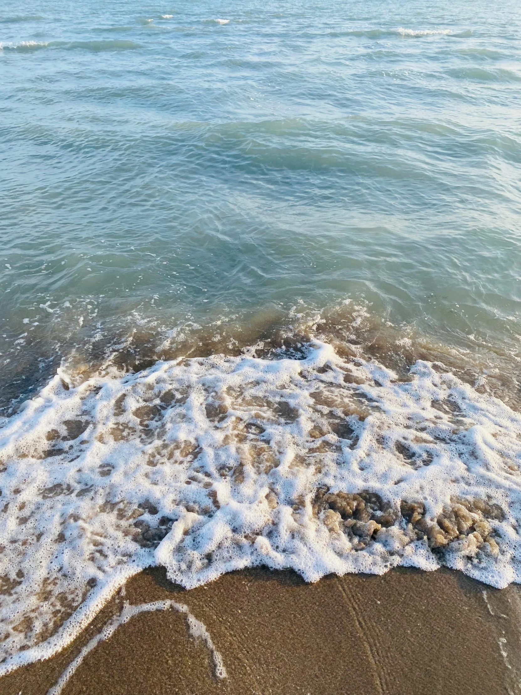 the water has washed onto the sand on the shore