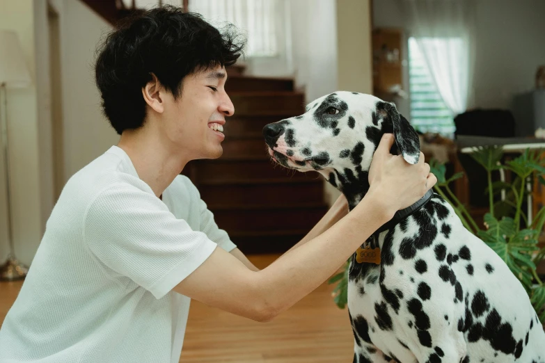 young man giving petted dalmation dog in a home