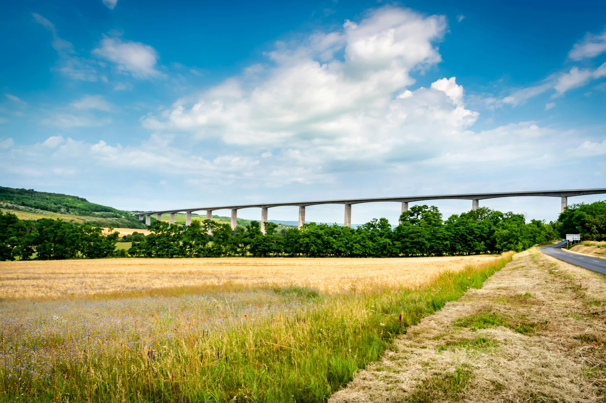 a scenic view with a huge bridge behind