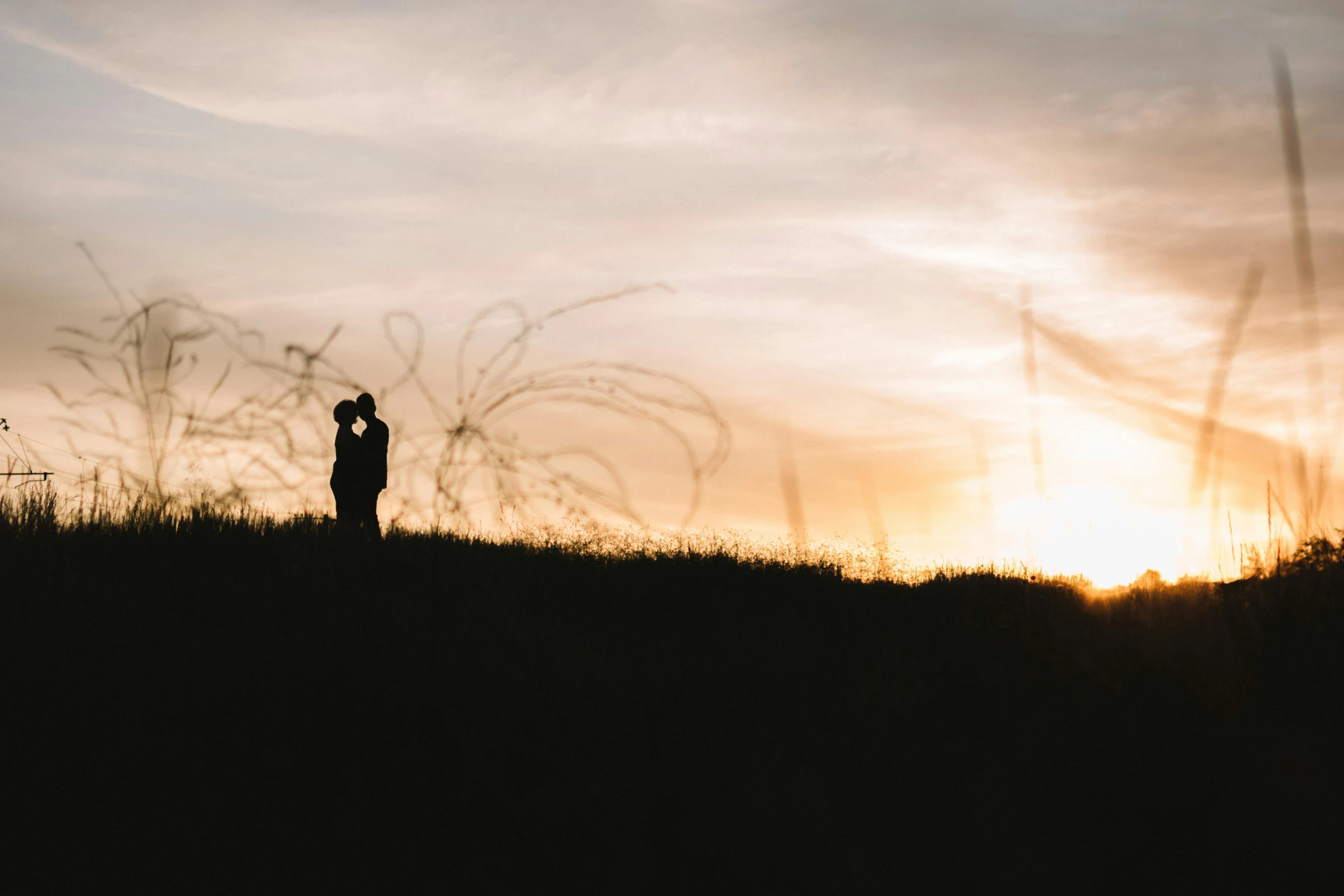 the silhouette of a person in a field, in front of a sunset