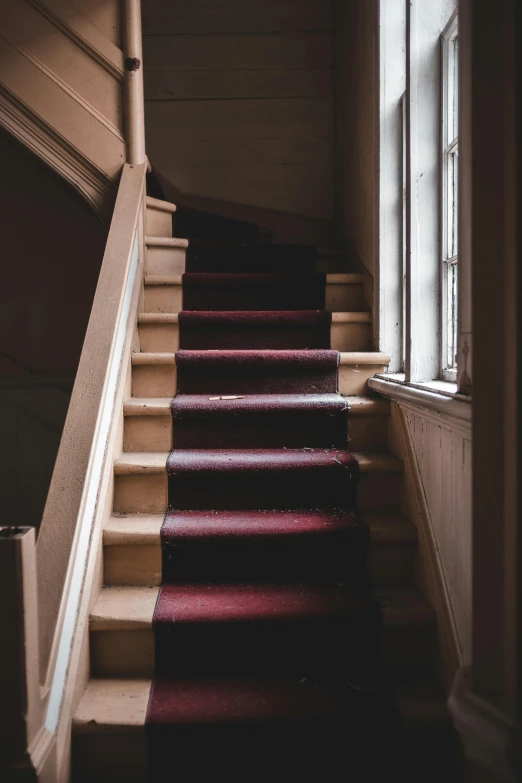 a stairway with an area rug runner leading to the door