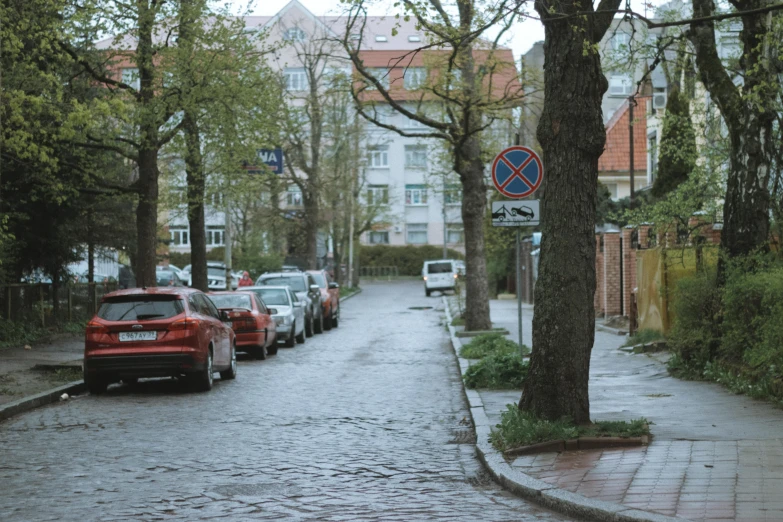 cars parked on a wet road surrounded by trees