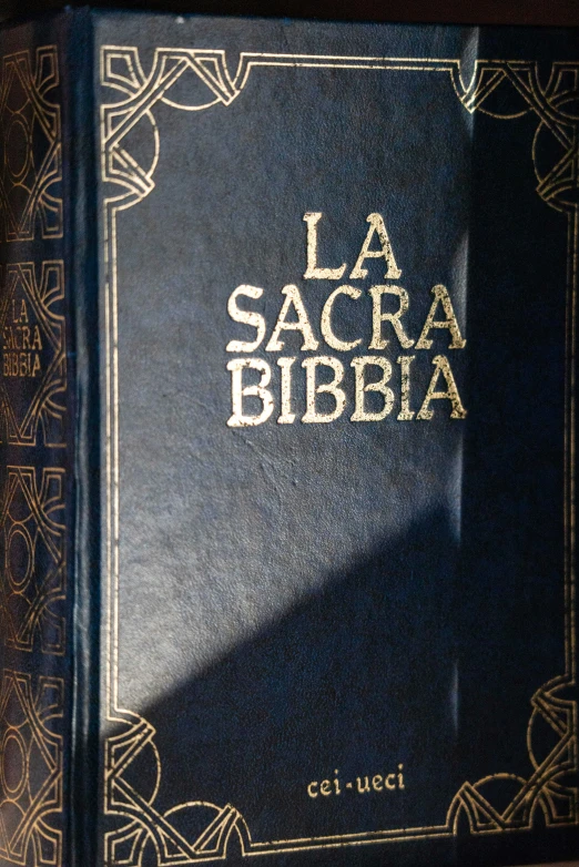 a book in gold lettering in spanish with a black cover