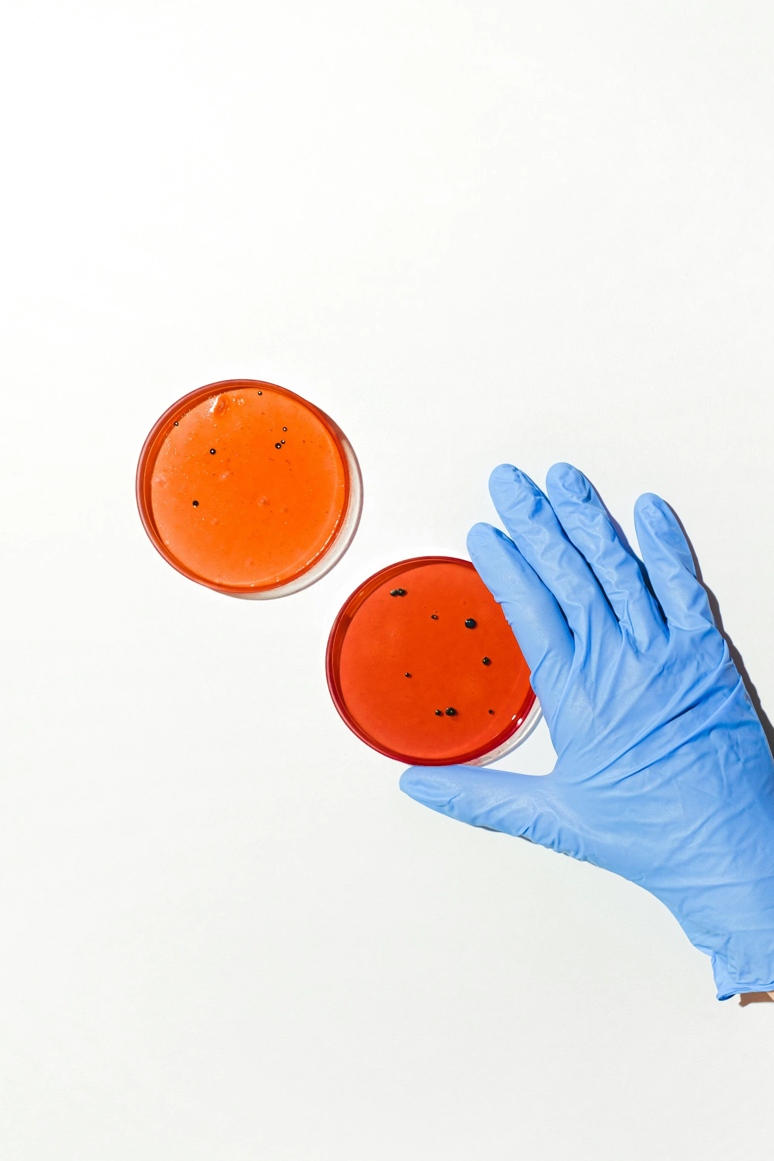 gloves and medical supplies holding up two sauce plates