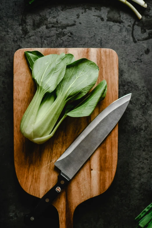 a knife and some leaves on a  board