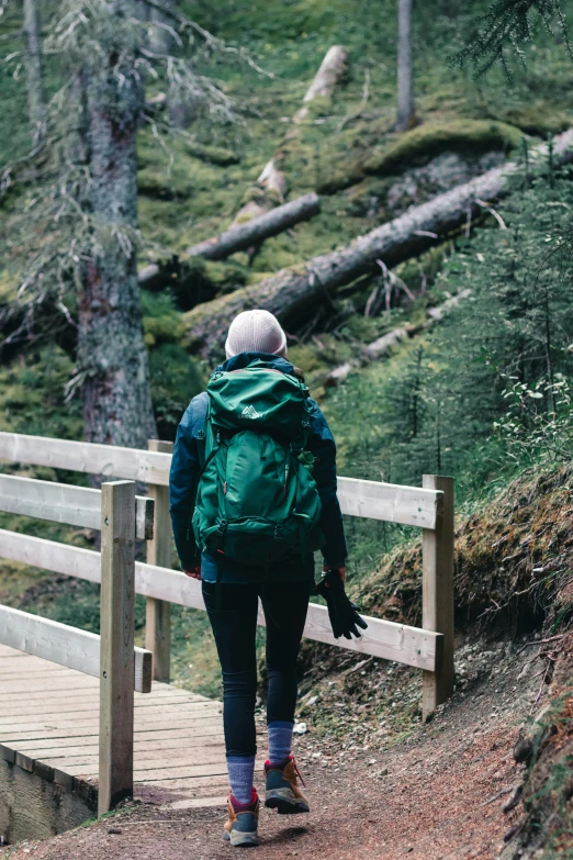 a woman with a backpack is hiking through the woods