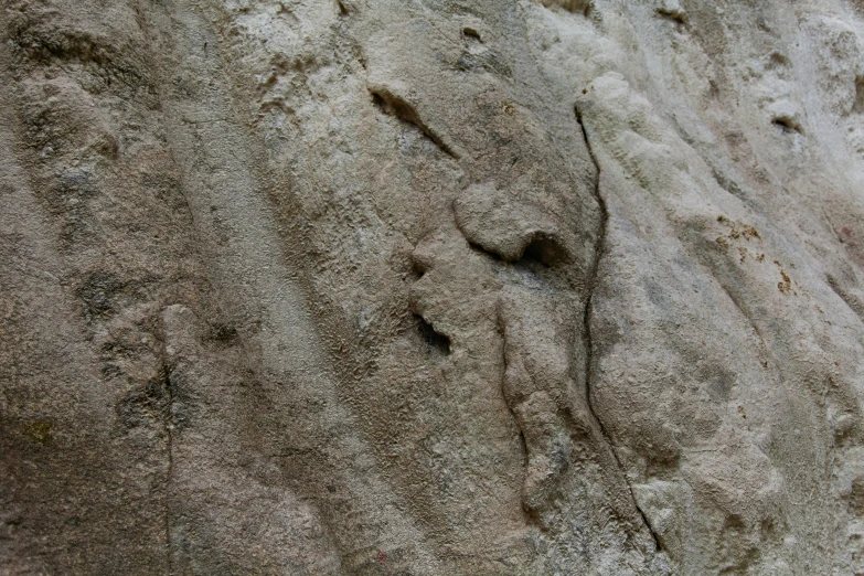 a bird is walking along the sandy beach