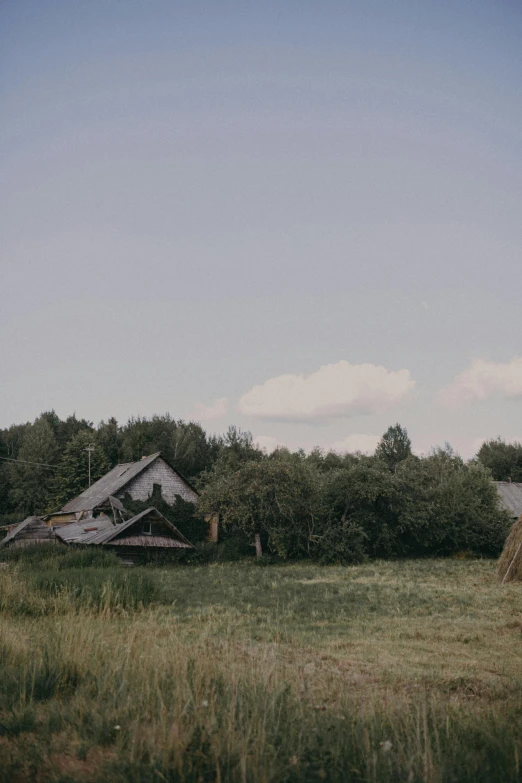 a hay field has a broken shed and trees