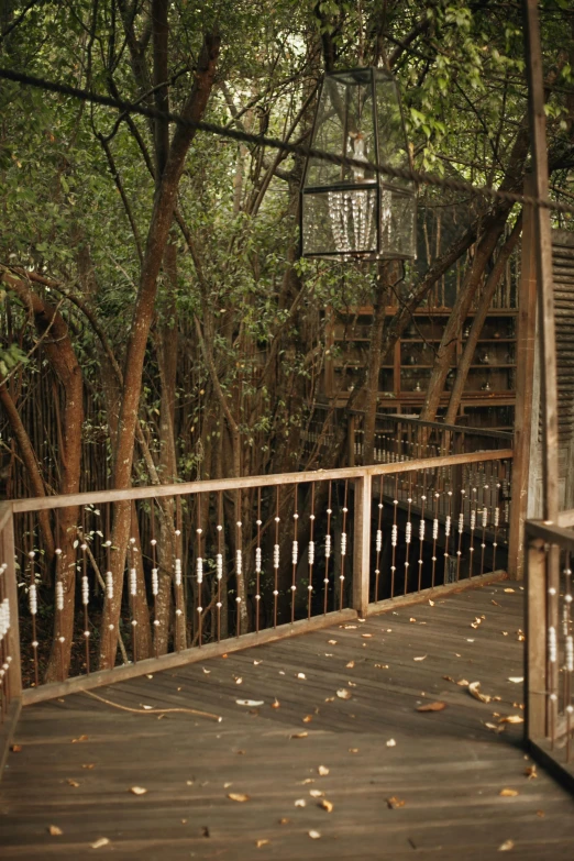 a walkway surrounded by trees with railing