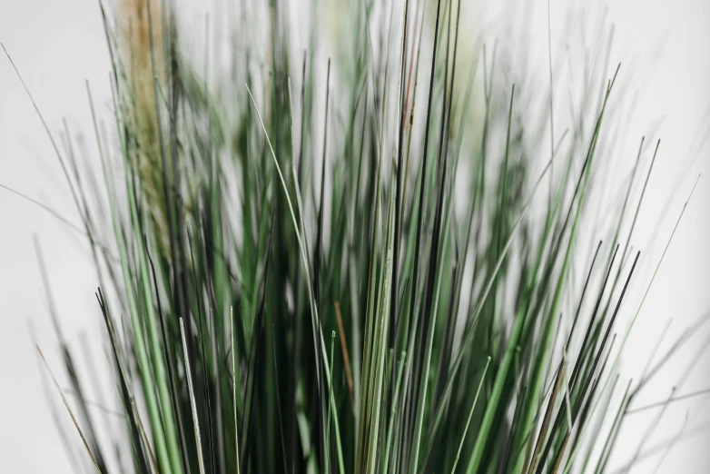 a vase with green grass on top of it