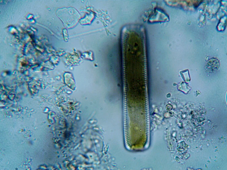 water and a tube of liquid with droplets and bubbles