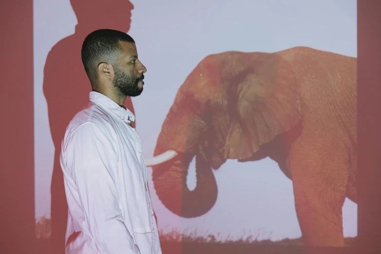 a man standing next to a wall with an elephant on it