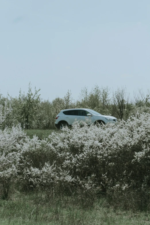 a small white car is in a field