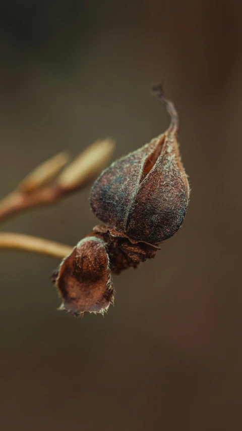 a little bird sitting on top of a leaf