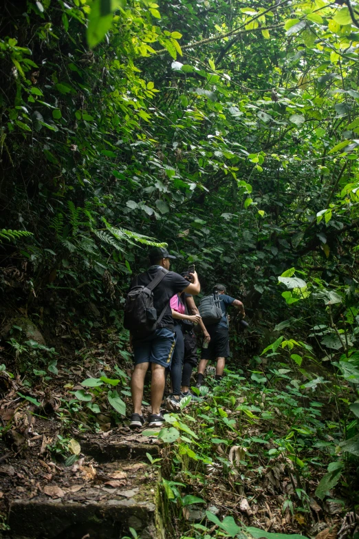 three people are climbing up a small wooden trail