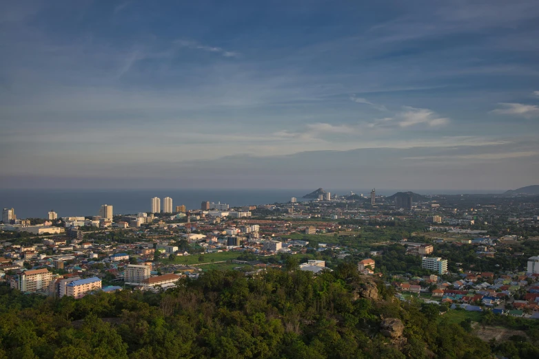 a view from above a large city with lots of trees