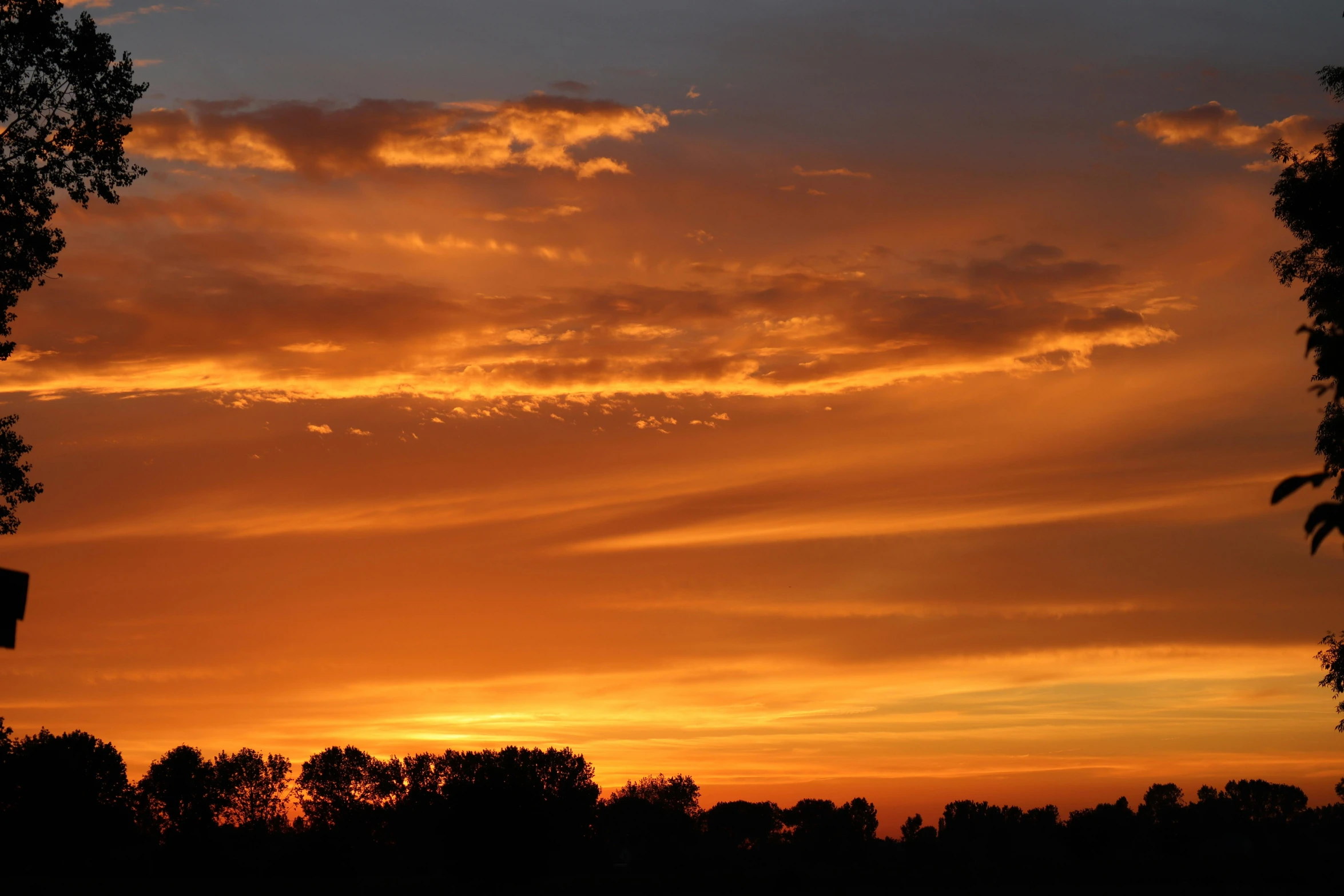 a person is holding soing up at sunset