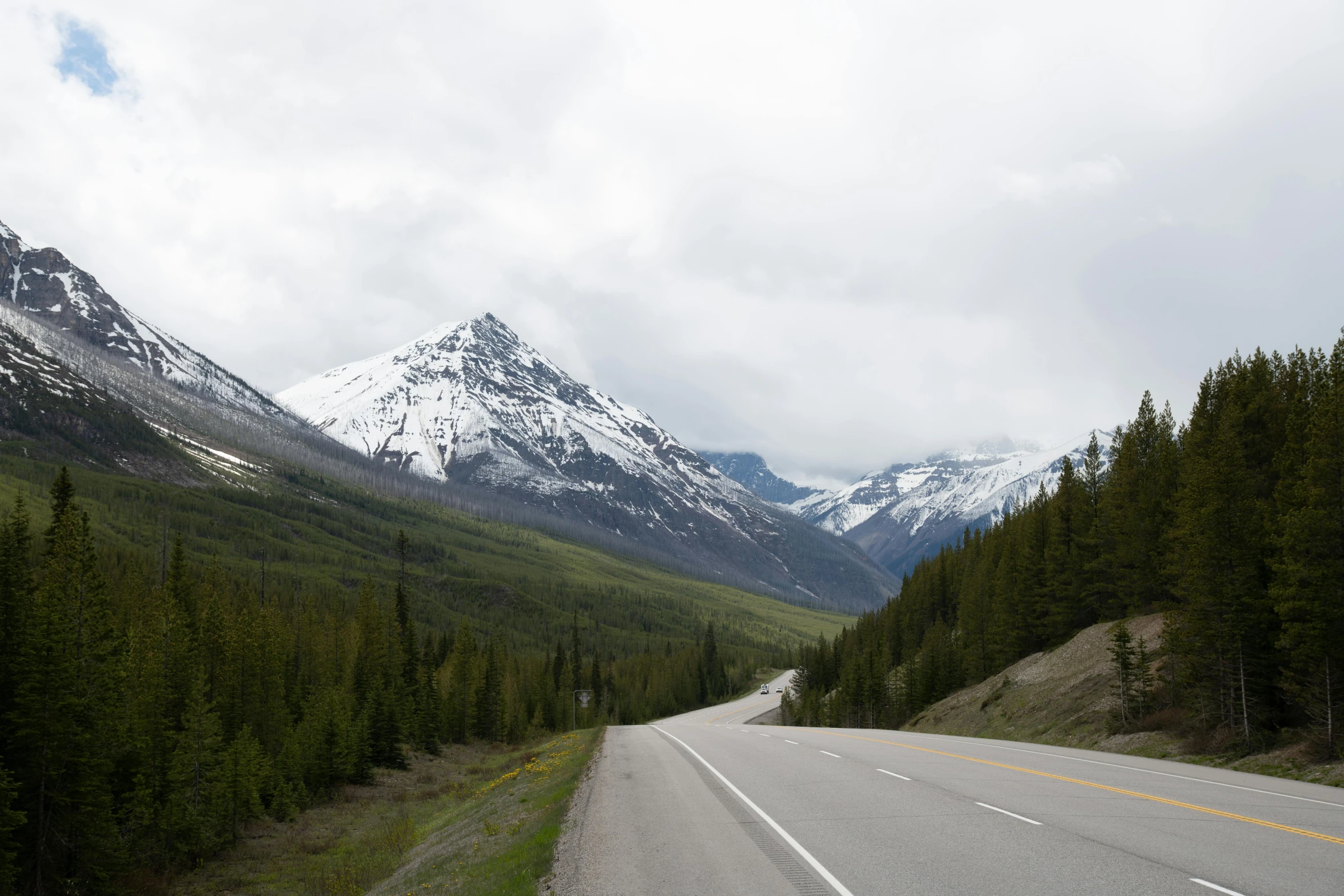 a highway with mountains in the background near trees