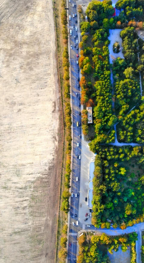 some cars are driving down the road in the forest