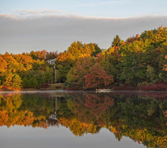 this is a pograph of trees in the fall and their leaves turn to red, yellow, and orange