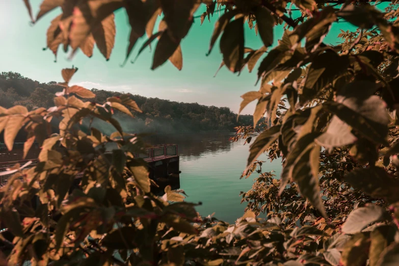 looking over the edge of a dock with fog over water