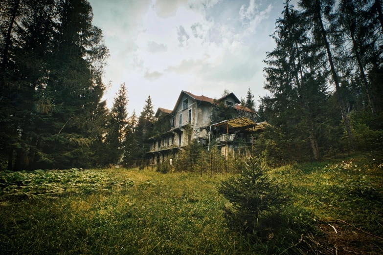 an old house in the middle of a forest