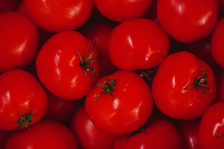 a group of large tomatoes in red colors